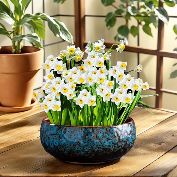 Lotus Bowl Planter, Lotus Bowls for Planting in Water Indoors, Bonsai Bowl Lotus Flower Seeds, Ceramic Planters for Indoor Plants (Blue)