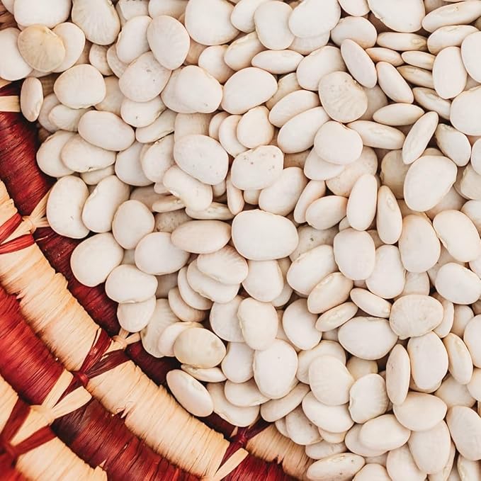 Henderson Bush Lima Bean - 50 Seeds - Heirloom White Butterbean Variety, USA-Grown, Non-GMO Baby Lima Bean Seeds for Planting Outdoors in The Home Garden, Thresh Seed Company