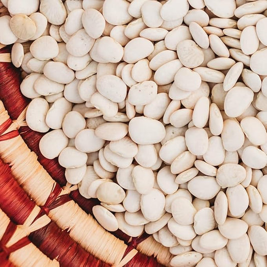 Henderson Bush Lima Bean - 50 Seeds - Heirloom White Butterbean Variety, USA-Grown, Non-GMO Baby Lima Bean Seeds for Planting Outdoors in The Home Garden, Thresh Seed Company