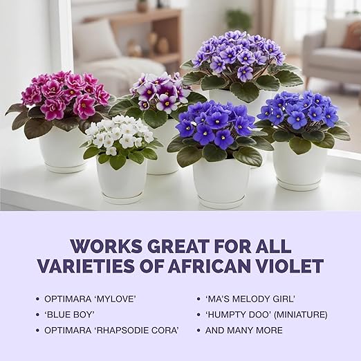 African Violet Fertilizer – Liquid African Violet Plant Food for Indoor Plants, 8 oz