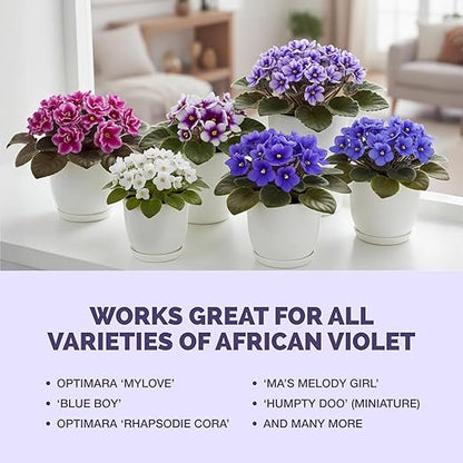 African Violet Fertilizer – Liquid African Violet Plant Food for Indoor Plants, 8 oz