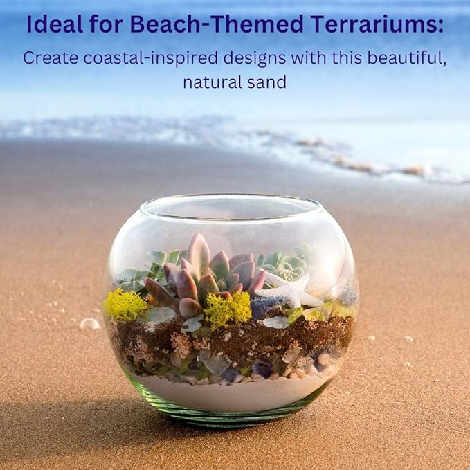 SuperMoss (24310) Decorative Sand – Fine White Sand for Vase Filler, Terrariums, Zen Gardens, Aquarium Sand, Crafts & Top Dressing for Plants, 12oz Jar