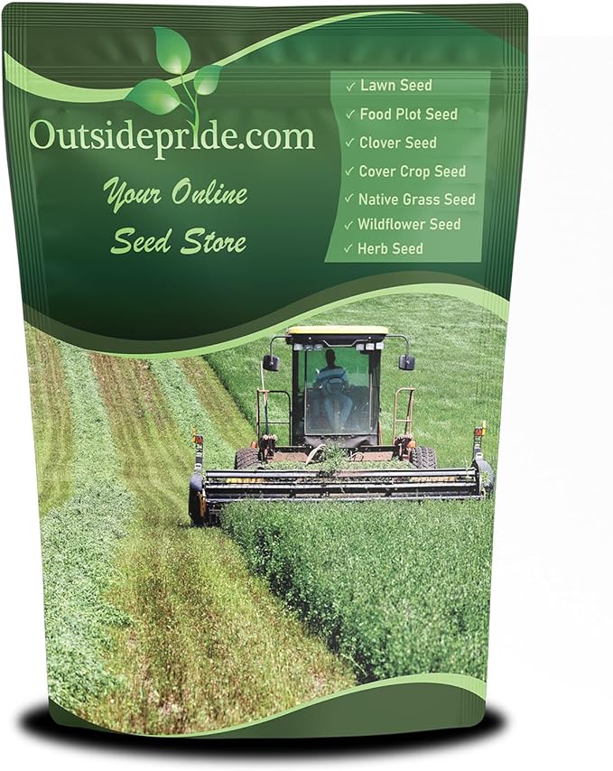Outsidepride Perennial Alfalfa Seeds for Planting - 10 lbs High Yield, Nitrocoated, Inoculated Winter Hardy Forage Legume Seeds for Growing Lush Green Grass Lawns, Pastures, & Hay for Livestock