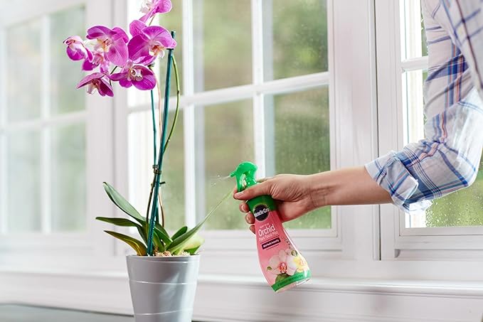 Miracle-Gro Ready-To-Use Orchid Plant Food Mist, 8 oz., Orchid Food Feeds Plants Instantly, 2-Pack