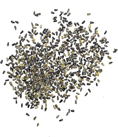Seed Needs Garnet Stem Dandelion Seeds for Planting - Non-GMO, Heirloom & Untreated Edible Herbs - Grow Your own Food for Tortoises, Rabbits & Bearded Dragons (1 Pack)