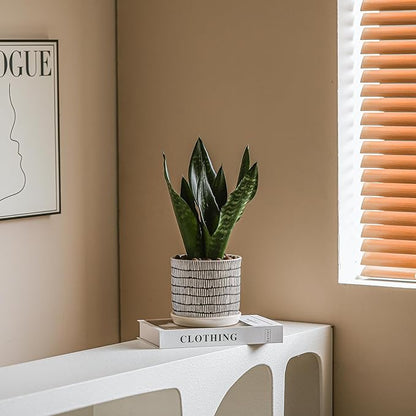 5.8 Inch Plant Pot: Ceramic Planter with Drainage Hole & Saucer - Cylinder Flowerpot for Indoor & Outdoor Plants - with Separate Tray for Home & Office - Striped Design