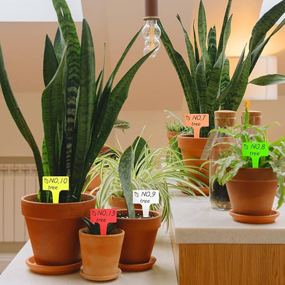 100Pcs T-Type Plant Tags，Waterproof Thick Plastic Plant Makers，6 x10cm Nursery Garden Labels(Multicolor) (SZ-BC610T) (Pack of 2)