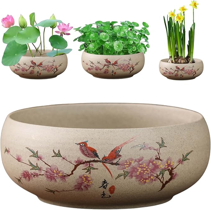 Lotus Bowl Planter, Ceramic Water Lily Bowl, Hydroponic Bonsai Lotus Bowls for Water Plants Indoor, Succulent Pots, Leak-Proof Spring Bird Design (7.56in*2.76in)