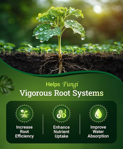 Fox Farm Happy Frog Fruit & Flower Fertilizer – Organic Blend for Abundant Fruits & Vibrant Flowers, Phosphorus Fertilizer with Mycorrhizal Fungi, NPK 4-9-3, 4 lb Bag (2 Pack)