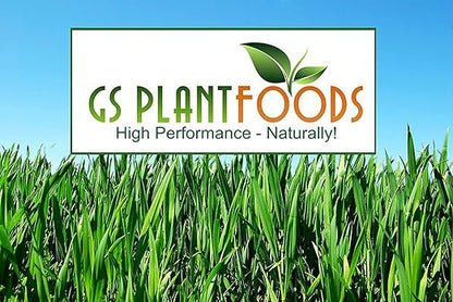 GS Plant Foods Root Ruckus Compost Fertilizer Organic Plant Food - Humic Acid & Sea Kelp Nutritional Root Supplement for Lawns, Soil, Shrubs & Vegetables - 275 Gallons