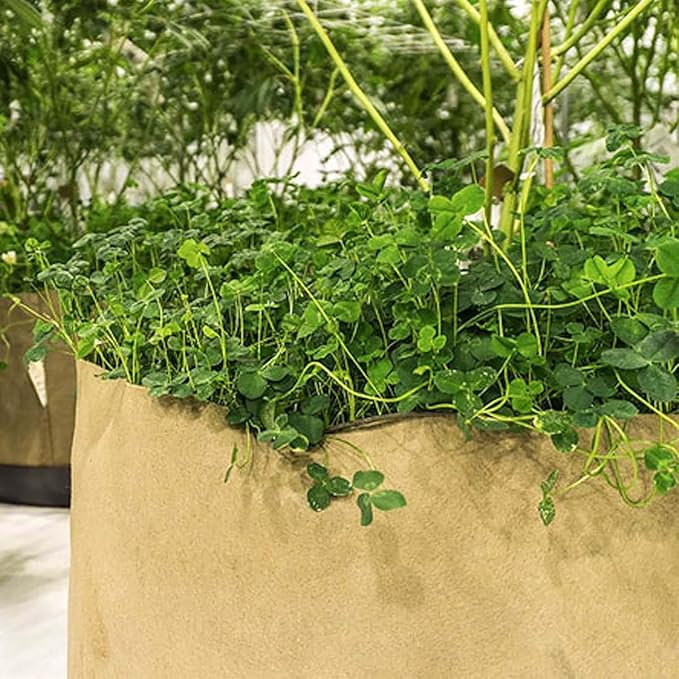 Sustainable Village 5 Gallon Grassroots Living Soil Pot