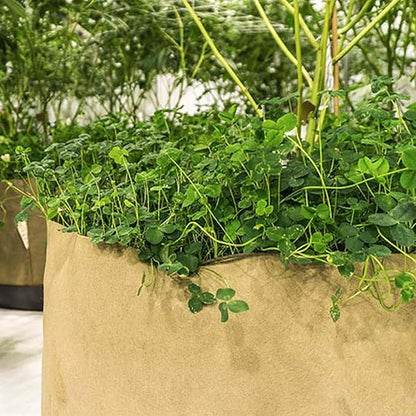 Sustainable Village 5 Gallon Grassroots Living Soil Pot