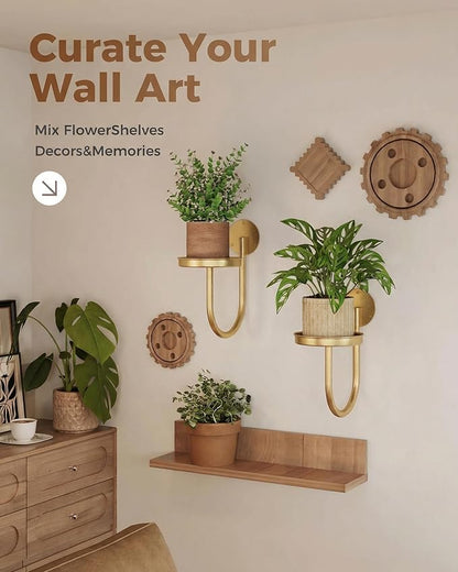 Leaf&lull Wall Plant Holder Planter with Wall Planters for Indoor Plants Plant Hanger Hanging Plant Holder Wall Hanging Decor 2 Pack Golden