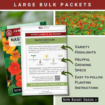 Sow Right Seeds - Bulk Jewel Mix Nasturtium Seeds for Planting - Non-GMO Heirloom Jumbo Pack - Versatile Nasturtiums Seeds for Containers & Borders - Easy-to-Grow Flowers - Ideal for Mass Planting