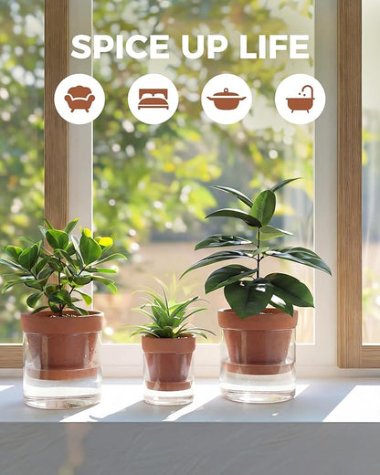 Bamworld Self Watering Pots for Indoor Plants Terracotta Pots Terracotta Planter with Cylinder Glass Cup Clay Flower Pots Ceramic Orchid Pots Modern Office Home Decor 6 Inch