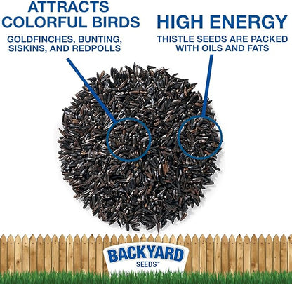 CountryMax Nyjer Thistle Seed for Finches 50lbs - Premium Nyjer Bird Seed for Outside Feeders, Large Bulk Bag of Wild Bird Food