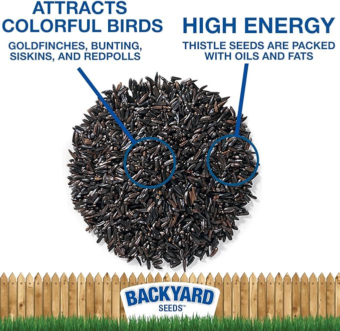 Nyjer Thistle Seed for Finches 7lbs - Premium Nyjer Bird Seed for Outside Feeders, Small Bag of Wild Bird Food