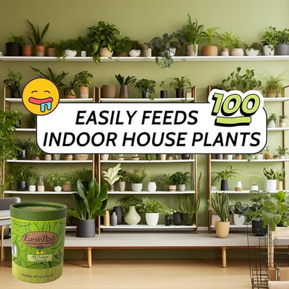 EarthPods® Premium Indoor Plant Food Capsules (100 Count) – Slow-Release Organic Fertilizer Spikes | Specialized Nutrients for Houseplants | Made in USA