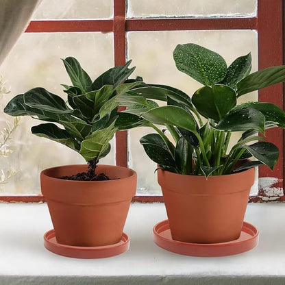 2 Pack Ceramic Plant Saucer Pot Tray 6 Inch Terracotta, Planter Saucers 6 7 8 9 10 11 12 15 Inch, Durable Sturdy Flower Drainage drip Water Tray for Glazed Pots Base (6.4 Inch- Red Terracotta)
