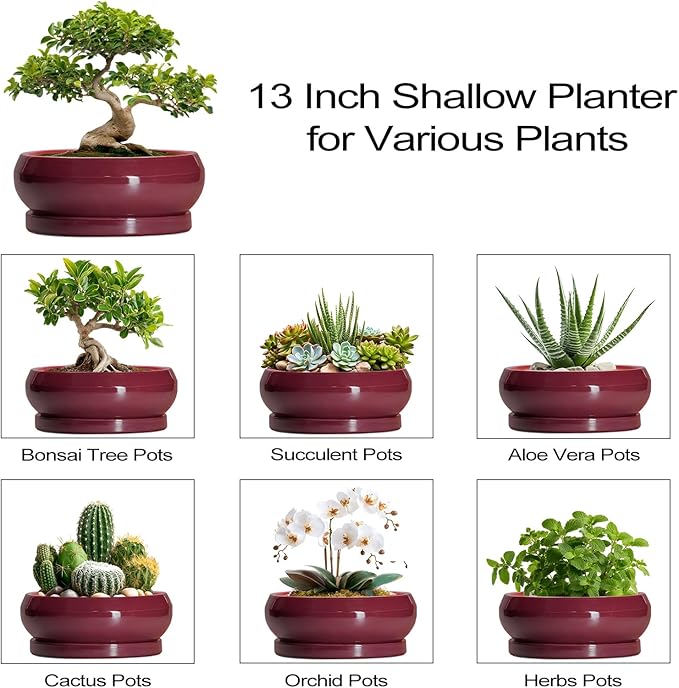 Bonsai Tree Pots 13 Inch - Ceramic Bonsai Pots with Drainage Hole and Tray, Large Succulent Planters Indoor, Round Bowl Planter Outdoor, Shallow Planter, House Decor, Birthday Gifts, Wine Red