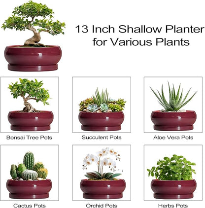 Bonsai Tree Pots 13 Inch - Ceramic Bonsai Pots with Drainage Hole and Tray, Large Succulent Planters Indoor, Round Bowl Planter Outdoor, Shallow Planter, House Decor, Birthday Gifts, Wine Red