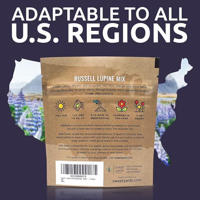 Russell Lupine Seeds – Extra Large Packet – Over 1,300 Open Pollinated Non-GMO Perennial Wildflower Seeds – Lupinus polyphyllus