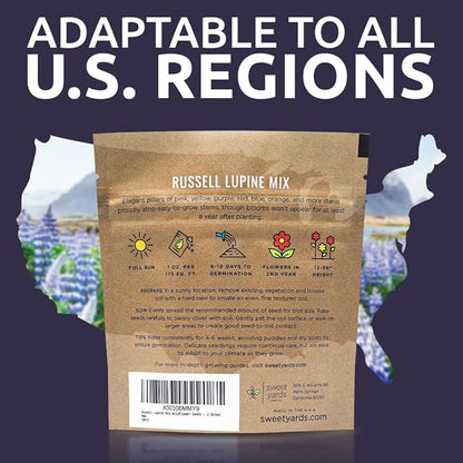 Russell Lupine Seeds – Extra Large Packet – Over 1,300 Open Pollinated Non-GMO Perennial Wildflower Seeds – Lupinus polyphyllus