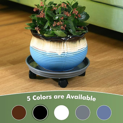 Planterhoma 6 Packs Plastic Plant Caddy with Casters 12” Plant Dolly Heavy Duty Rolling Plant Stand with Wheels for Indoor and Outdoor Large Heavy Plant Pot Rollers, Black and Grey
