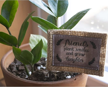 Abbey & CA Gift Friends Plant Smiles Flag Flower Pick