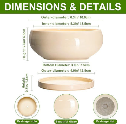 Succulent Pots 8 Inch - Ceramic Bonsai Pots with Drainage Hole and Tray, Shallow Plant Pot Indoor Outdoor, Bonsai Tree Pot, Round Modern Planter Bowl, Garden Decor, Gardening Gift, Beige