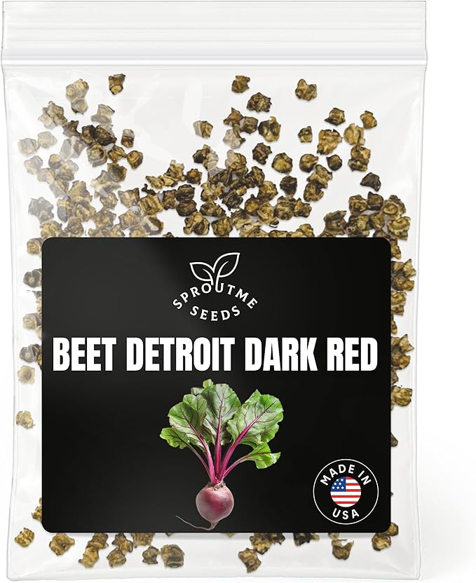 Beet Detroit Dark Red Seeds for Planting – 300+ Heirloom Beets, Sweet Tender Roots and Edible Greens, Non-GMO, High Germination, Indoor & Outdoor Garden (Beta vulgaris)