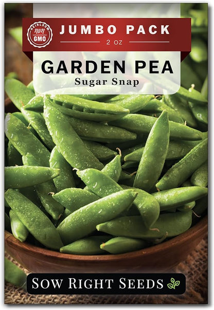 Sow Right Seeds - Bulk Sugar Snap Pea Seeds for Planting - 2 Ounce, 225 Seeds - Non-GMO Heirloom Jumbo Pack with Instructions to Plant a Home Vegetable Garden - Enjoy a Cool Season Bountiful Harvest
