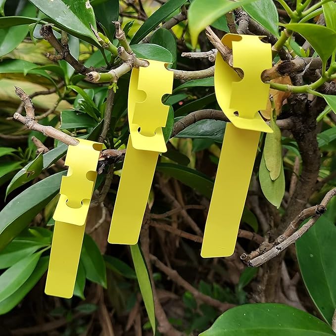 Kecoya 200pcs Plastic Plant Labels, Waterproof Plant Tree Tags and Labels, Wrap Around Plant Label Tags, Adjustbale Hanging Plant Tag and Labels.（Yellow）