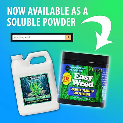 Liquid Kelp Seaweed Fertilizer Concentrate (Gallon) - Blue Planet Nutrients Ascophyllum Nodosum Liquid Seaweed Supplement - Makes 1,600+ Gallons - Organic Kelp for All Plants & Gardens