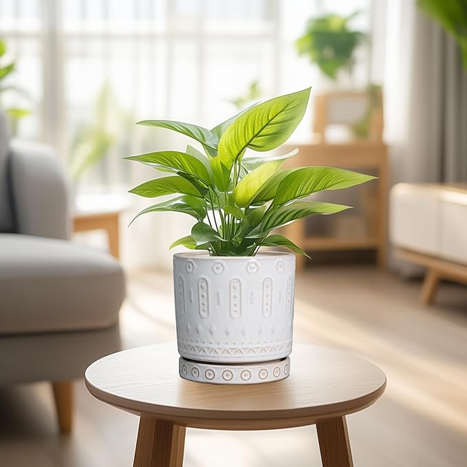 Pot for Plants 6 Inch - Ceramic Planter for Indoor Plants Decorative Plant Pot with Drainage Holes and Saucer Outdoor Flower Pot Modern Succulent Pots for Office Desk Decor White