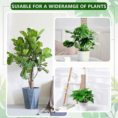 2 Pcs Plastic Moss Pole for Monstera, Large Cylindrical Shape Poles for Climbing Plants Work with Sphagnum Moss, 17.5 Inch linkable Plant Stake Set of 2, Garden Ties