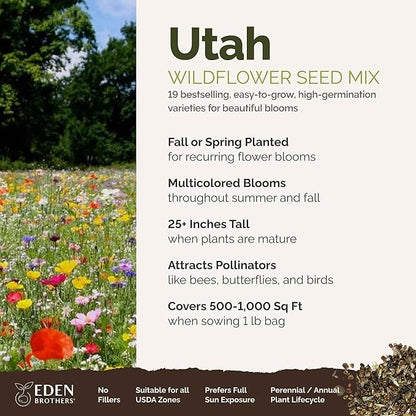 Eden Brothers Utah Wildflower Mixed Seeds for Planting, 1 lb, 480,000+ Seeds with Snapdragon, Yarrow | Attracts Pollinators, Plant in Spring or Fall, Zones