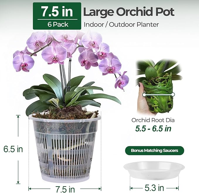 T4U Orchid Pot, 6 Pack 7.5 Inch Orchid Pots with Holes and Saucers, Clear Orchid Pots for Repotting, Plastic Flower Plant Pot for Indoor Outdoor Plants, Large Orchids Planter for Root Health