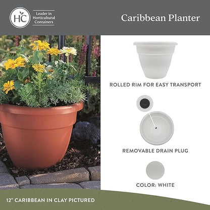 The HC Companies 10 Inch Caribbean Planter Pots with Drainage & Plug, Rolled Rim Plastic Planters for Indoor & Outdoor Plants, 2-Pack Decorative Flower Pots for Garden, Office & Home Decor, White