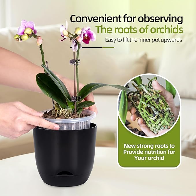 QCQHDU 2 Pack 5.7 Inch Orchid Pots with Holes for Repotting, Double-Layer and Self Watering Orchid Pot with Good Air Circulation