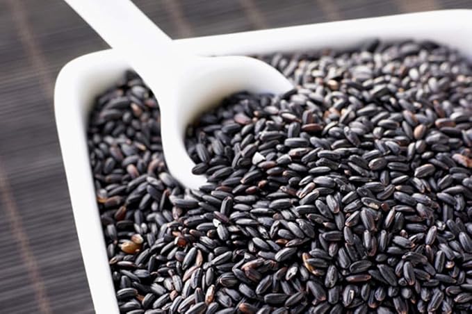 Black Rice 500 Seeds Forbidden Nutty Flavor Easy to Grow Organic Plants viable!