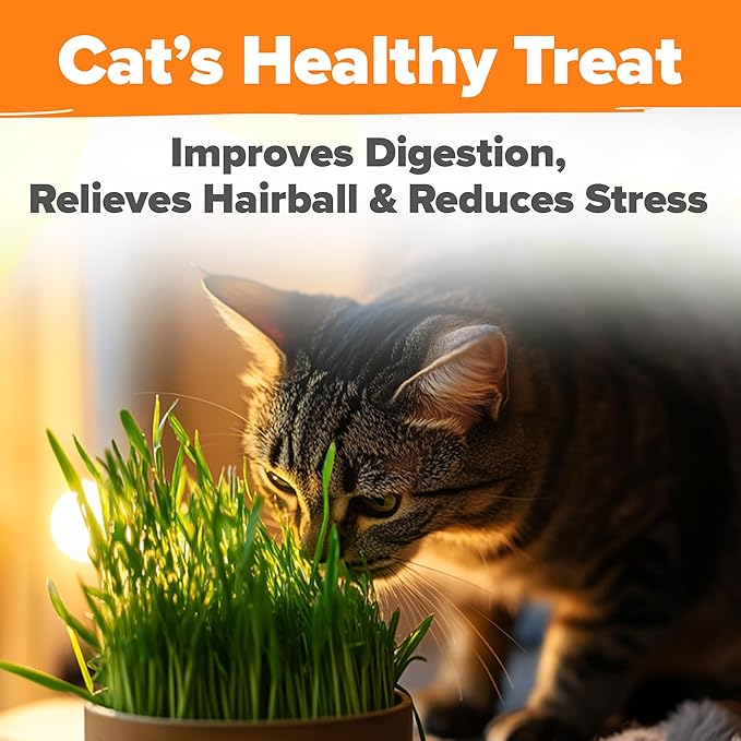 HOME GROWN Cat Grass Seeds 4 oz Oat & Barley Mix – Indoor Cat Grass Refill Kit – Digestive Green Grass for Pets – Heirloom Seeds for Cats’Health & Wellness