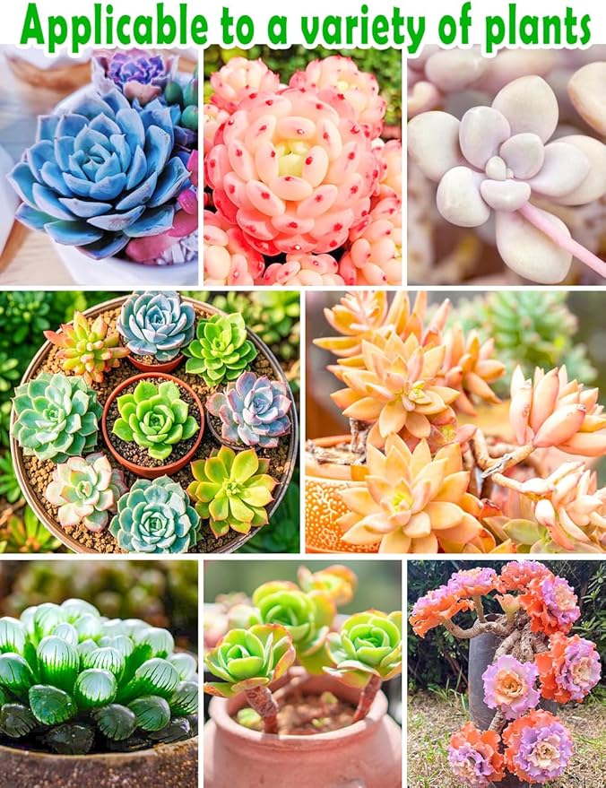 TOYPOPOR Succulent Soil, Cactus Potting Mix 12 Pounds/6QTS, High Drainage, Pre-Mixed Ready to Use for All Succulent Varieties, Indoor Plants, Bonsai, Terrarium, Houseplant, 70% Particles 30% Soil