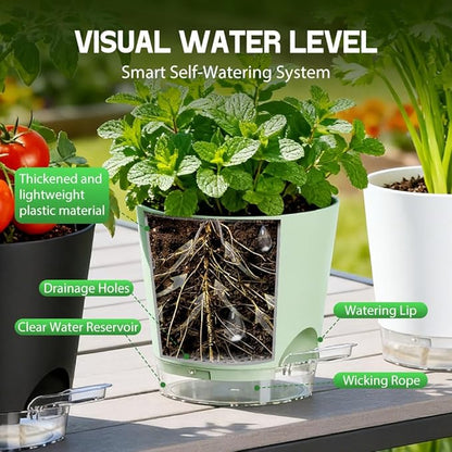 Self Watering Pots for Plants, 2026 New Flower Plant Pots with Drainage Holes, Wicking and Clear Reservoirs for Succulent, Aloe, Cacti and Others - 6 Pack (Colorful, 6")