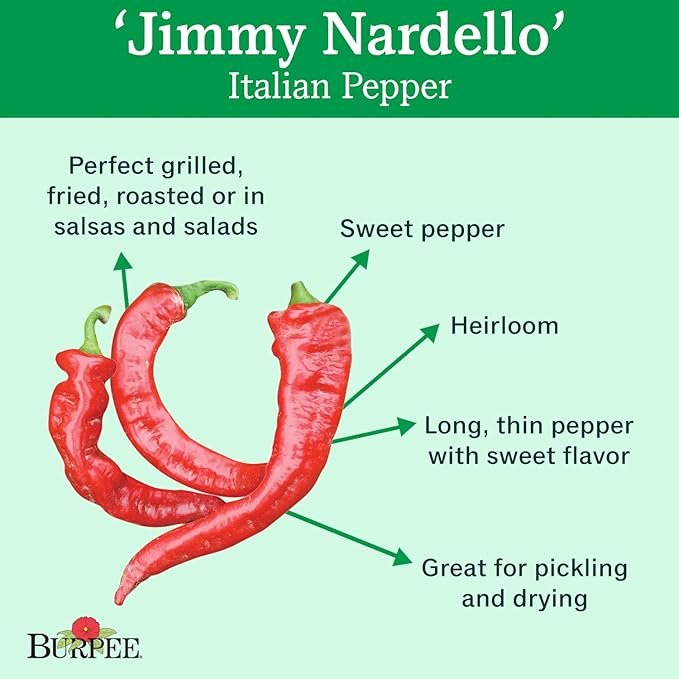 Burpee Jimmy Nardello's Sweet Pepper Seeds 30 seeds