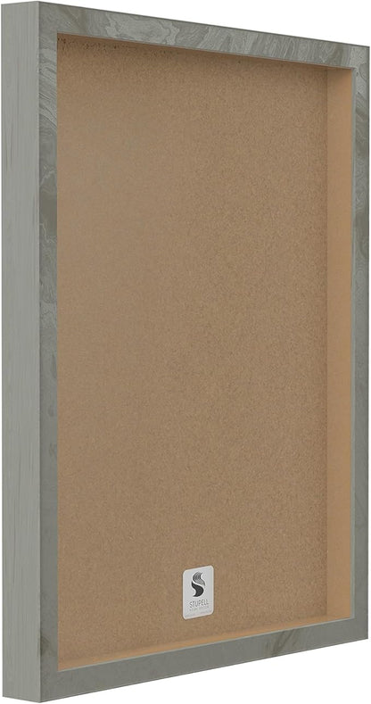 Stupell Industries Botanical Plant Illustration Seeds Vintage Design Grey Framed Wall Art, Multi-Color, 16x20 (fap-219_gff_16x20)