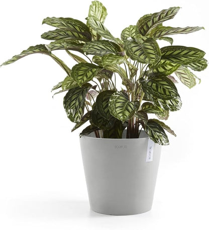 Ecopots Amsterdam Durable Modern Round Indoor/Outdoor Recycled-Based Composite Flower Pot Planter, White Grey, 16"