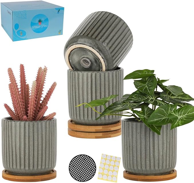 TAMAYKIM 4 Inch Cylinder Ceramic Plant Pots with Drainage Holes & Saucers, Vertical Glazed Green Grey Small Boho Planters with Trays for Indoor Flower, Snake Plants, Succulent, Cactus, Set of 4