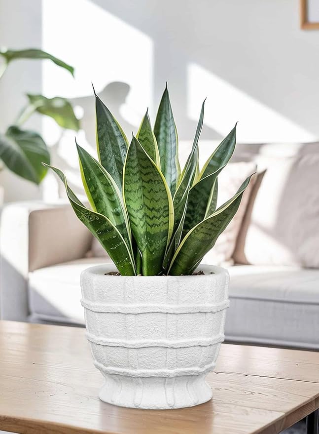 6" White Ceramic Plant Pots with Drainage Hole, Rustic Flower Pots for Indoor Plants, Outdoor Decorative Ceramic Planters Pot Small Plant Pot for for Succulents, Cactus, Herbs, Orchids Planters