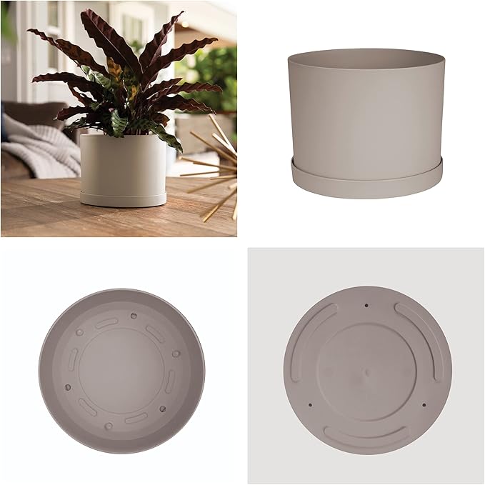 Bloem Mathers 6" Pebble Stone Round Modern Resin Garden Planter Pot with Drainage Holes and Removable Saucer Tray Included